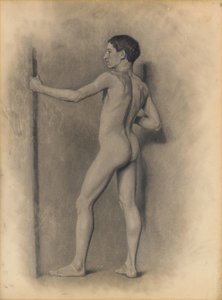 Studie van het mannelijke figuur