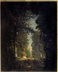 Een laan, Isle Adam bos
