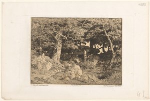 Eikenbomen op rotsen door Theodore Rousseau