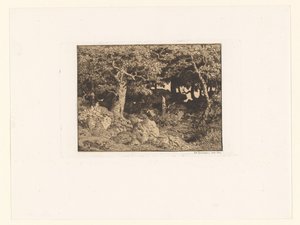 Eikenbomen op rotsen door Theodore Rousseau