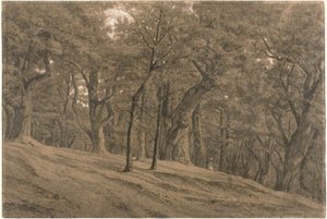In het bos van Fontainbleau