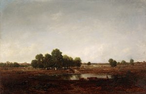Landschap met moeras