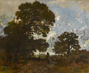 De Beuk in het Bos van L