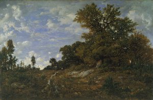 De Rand van het Bos bij Monts-Girard, Fontainebleau Bos