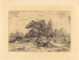 Uitzicht op het Plateau van Bellecroix