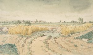 Tarwevelden, 1865