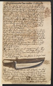 Grondmes (illustratie) door Theodore Turquet de Mayerne