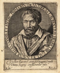 Andre du Laurens, Franse arts