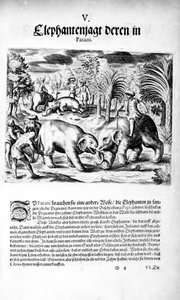 Olifanten vechten, 1606 door Theodore de Bry