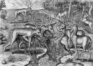 Florida Indianen jagen, vermomd als herten, Verenigde Staten van Amerika, gravure door Theodor de Bry uit Indorum Floridam provinciam inhabitantium eicones, door Jacques Le Moyne de Morgues, Frankfurt am Main door Theodore de Bry