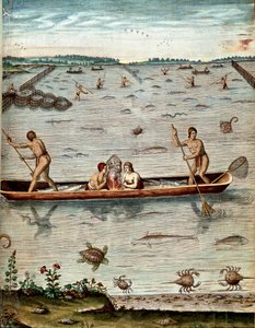 Geschiedenis van Amerika: "vissen onder de inwoners van Virginia" In het water van schildpadden, krabben en verschillende vissoorten. Gravure uit "Admirante Narratio Americae" door Theodore de Bry (1528-1598) door Theodore de Bry