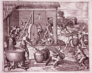 Geschiedenis van Amerika: suikerriet oogsten en suikerproductie door Indiase slaven die werken voor de Spaanse conquistadores (Gravure) door Theodore de Bry