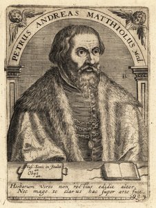 Pietro Andrea Gregorio Mattioli, Italiaanse arts