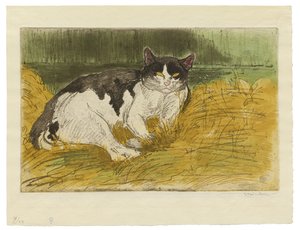 Oude zwart-witte kat in het gras door Théophile Alexandre Steinlen