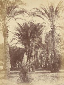 Gous door Théodule Devéria