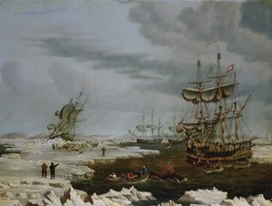 Hull Walvisvaarders in het Noordpoolgebied door Thomas A. Binks
