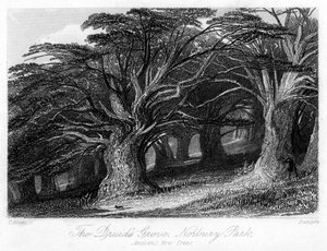 Het Druïdenbos, Norbury Park, Surrey, 19e eeuw door Thomas Allom