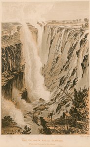 De Victoria Falls door Thomas Baines
