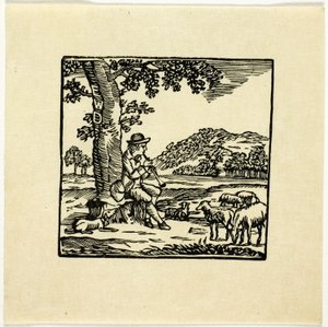 Boekillustratie