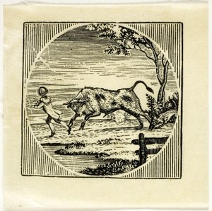 Boekillustratie door Thomas Bewick