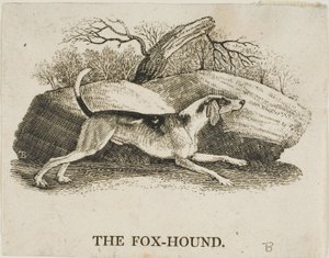 Vosshond door Thomas Bewick