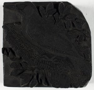  door Thomas Bewick