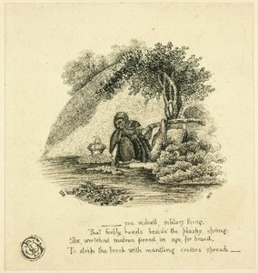 ...jij eenzaam weduwe ding door Thomas Bewick