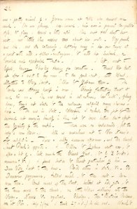 Dagboeken van Thomas Butler Gunn