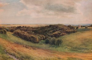 Arundel Park, 1874