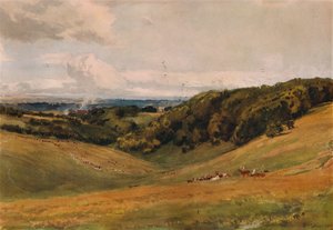 Arundel Park, met herten
