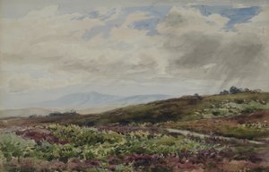 Uitzicht op Chanctonbury, West Sussex