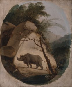 De Indische Neushoorn door Thomas Daniell