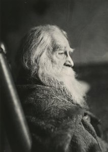 Walt Whitman in Camden, N.J., ca. 1891 door Thomas Eakins