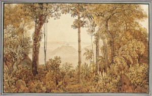 Uitzicht over Rio de Janeiro vanuit het Tijuca-bos door Thomas Ender
