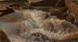 Wildwater. Natuurstudie door Thomas Fearnley