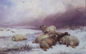 Een winterlandschap met schapen