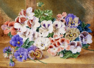  door Thomas Frederick Collier