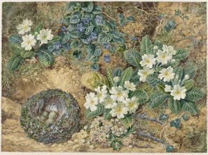 Stilleven van een vogelnestje, viooltjes, primula