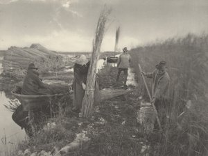 Tijdens de rietoogst,1886 (foto)
