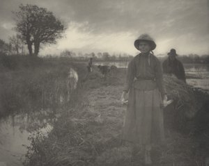 Het moerashooi polijsten,1886 (foto)