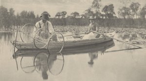 Het instellen van het strijknet,1886 (foto)