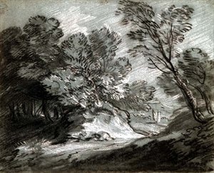 No.0975 Bosrijk landschap met een verre berg