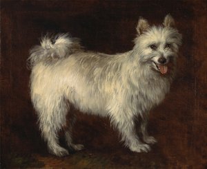 Spitzhond, Een Hond door Thomas Gainsborough
