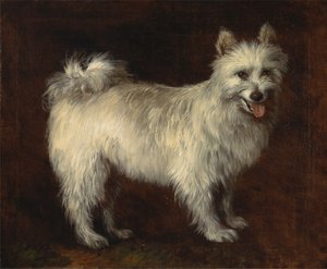 Spitzhond door Thomas Gainsborough