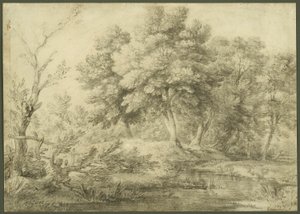 Boslandschap met stroom