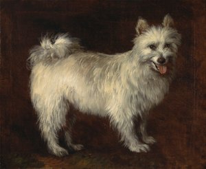 Spitzhond door Thomas Gainsborough RA