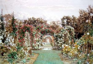Crimson Rambler in Clandon Park