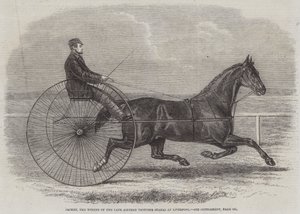 Jackey, de winnaar van de laatste Aintree Trotting Stakes in Liverpool door Thomas Harrington Wilson