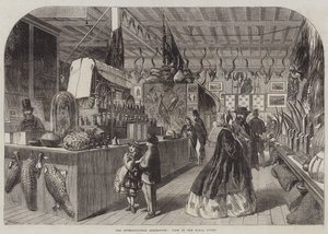 De Internationale Tentoonstelling, Uitzicht in de Natal Court