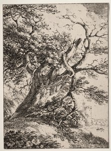 Specimens of Polyautography: Landschap met een eik